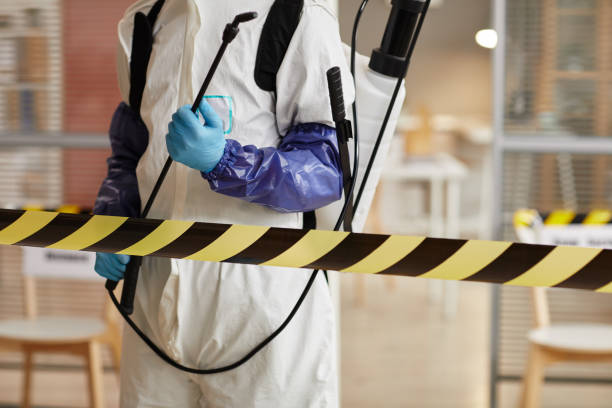 Professional Hoarding Cleanup technician working in Omaha, AR